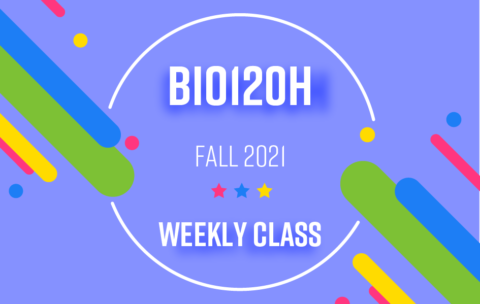 BIO120H_Fall2021_WC